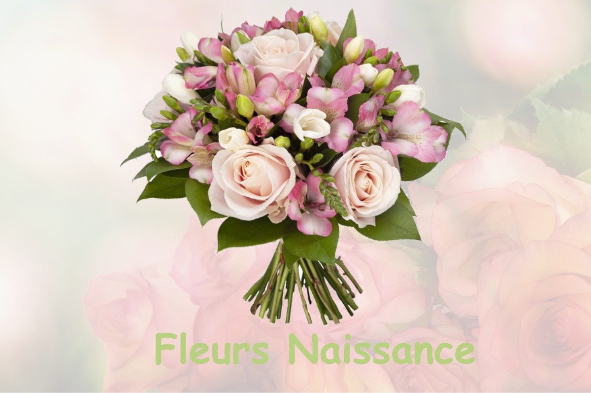 fleurs naissance NANTEUIL-SUR-AISNE